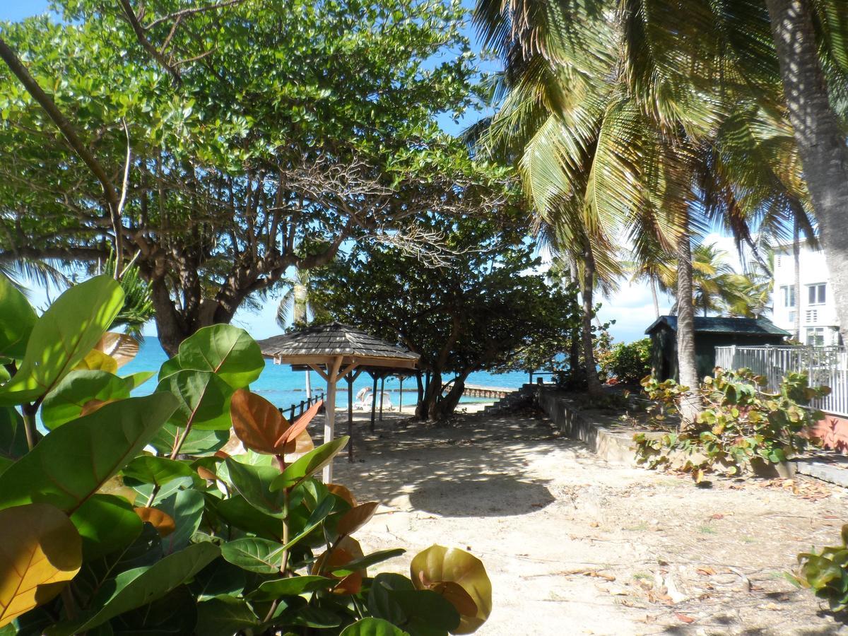 Studio "Bleu Turquoise" Le Gosier  Exterior photo